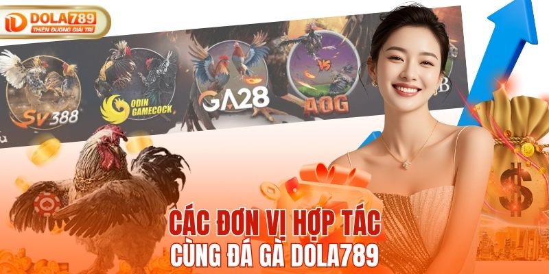 Các đơn vị hợp tác cùng đá gà DOLA789