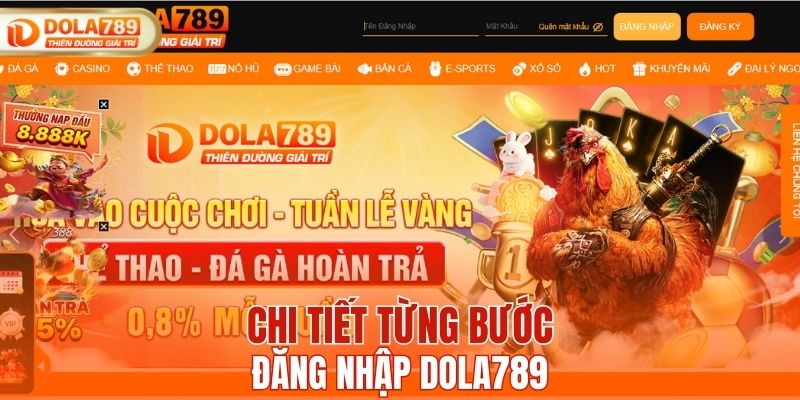 Chi tiết từng bước đăng nhập DOLA789