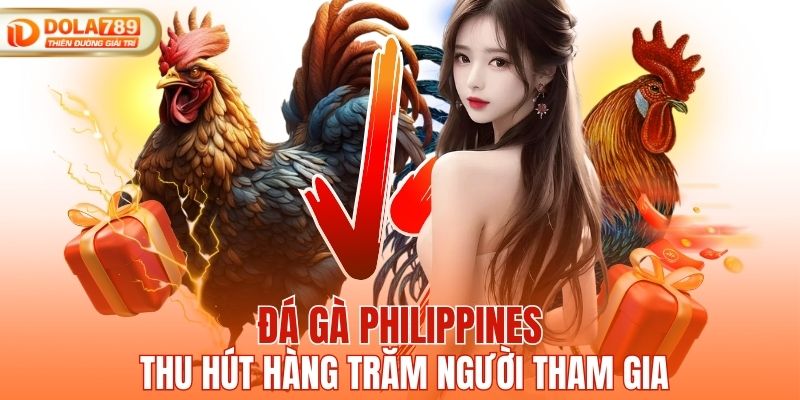 Đá gà Philippines thu hút hàng trăm người tham gia