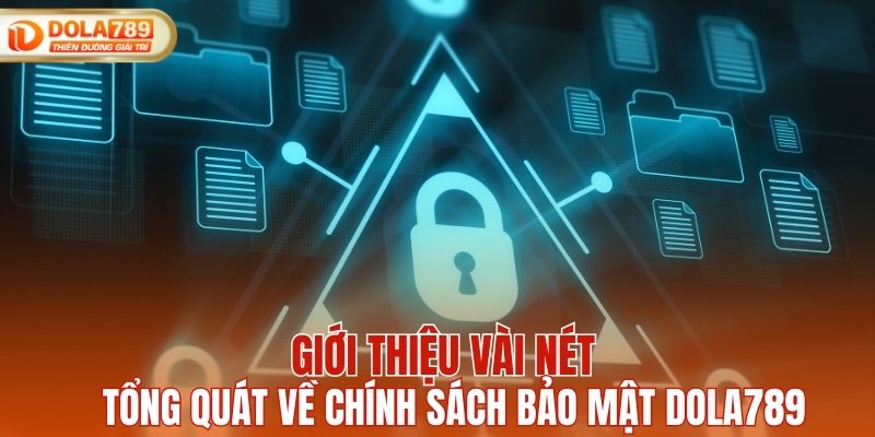 Giới thiệu vài nét tổng quát về chính sách bảo mật DOLA789