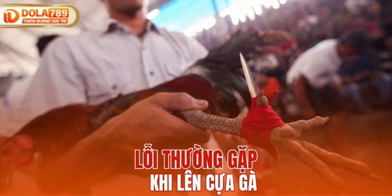 Lỗi thường gặp khi lên cựa gà