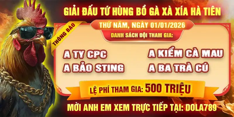 Giải tứ hùng bồ gà xà xía ngày 01/01/2026