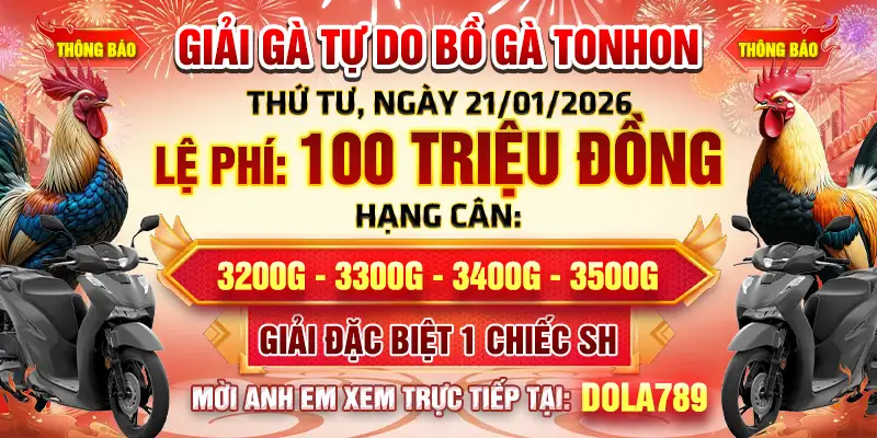 Giải gà tự do bồ gà tonhon